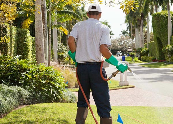 About Drayton Plains MI Pest Control